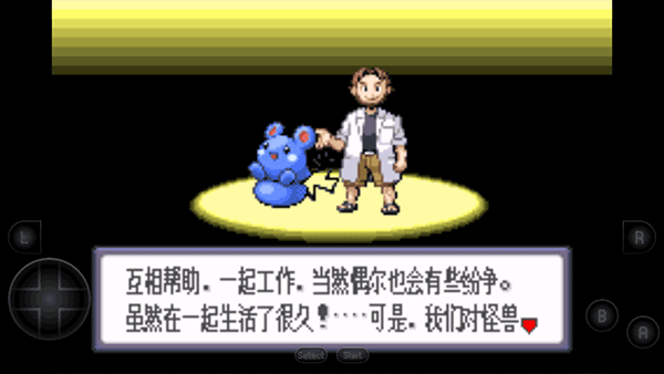 口袋妖怪蓝宝石截图2