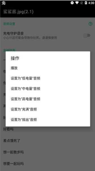 鲨鲨酱(语音助手软件) v5.0.388.20250331 安卓版截图3