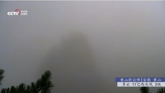 秒看电视apk官方版截图2
