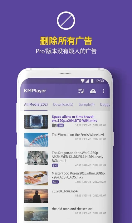 KMplayer纯净版-2