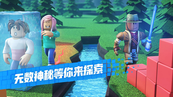 罗布乐思安卓版截图1