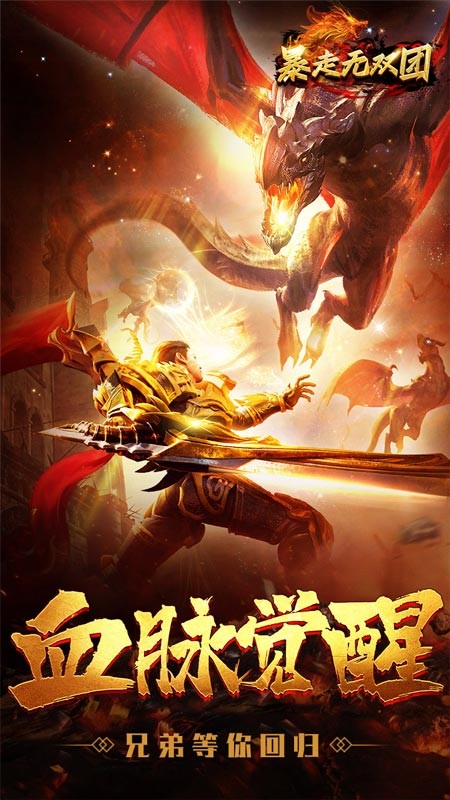 暴走无双团