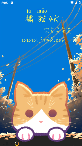 橘猫4k手机版截图1