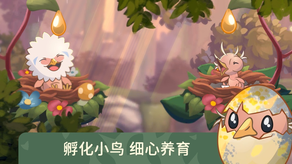 Bird Kind安装器-2