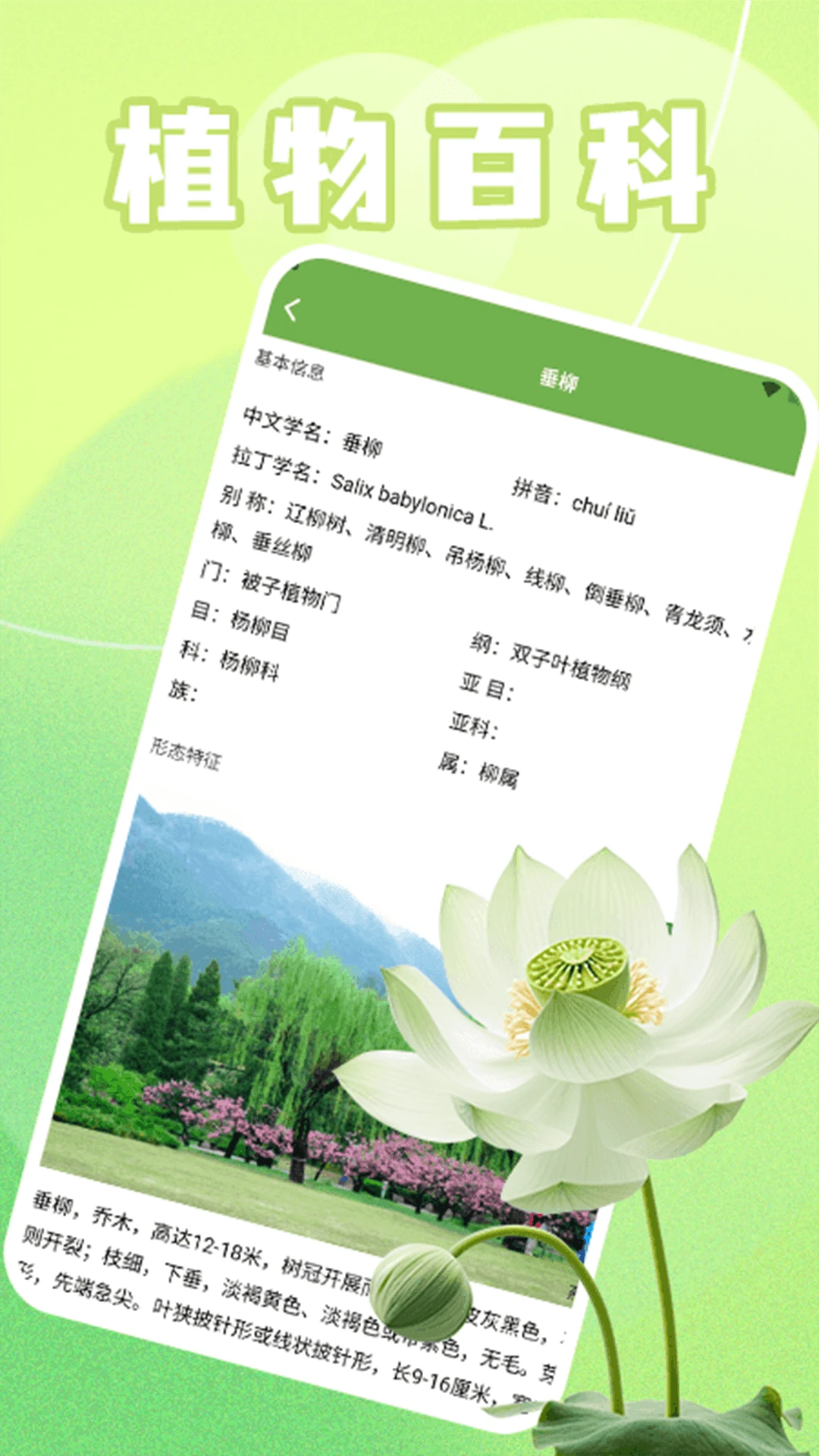 青青草截图4