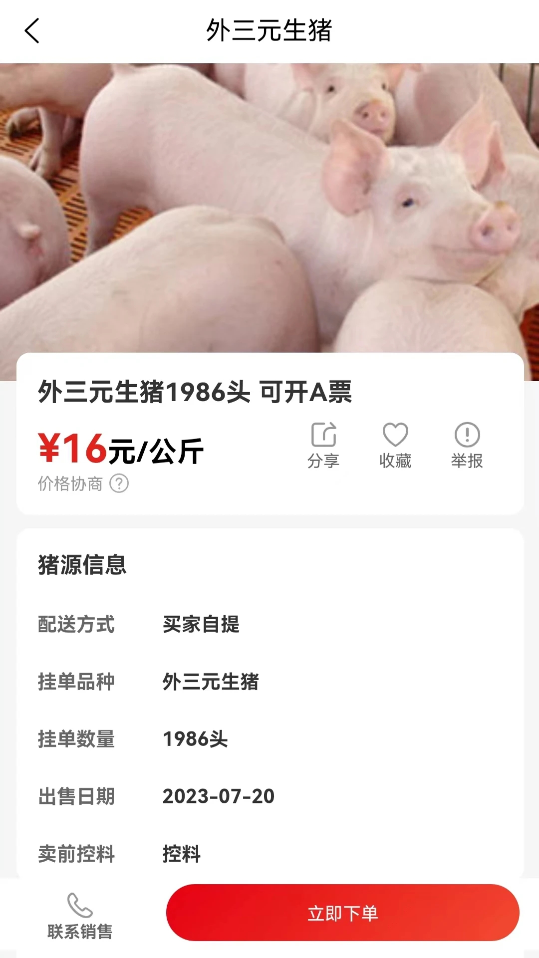 国家生猪市场-1