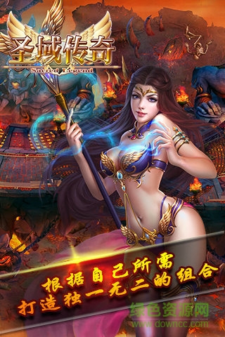 圣域传奇截图2