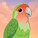 Bird Kind安装器