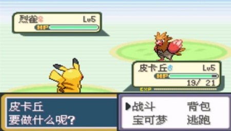 口袋妖怪圣灰汉化版截图1