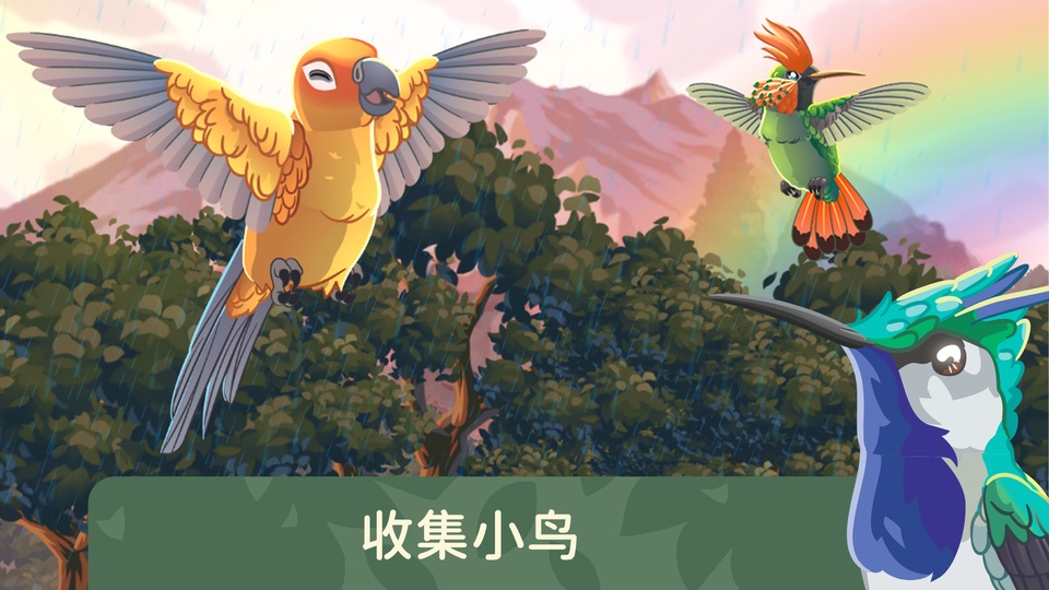 Bird Kind安装器-0