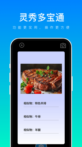 灵秀多宝通安卓版截图2