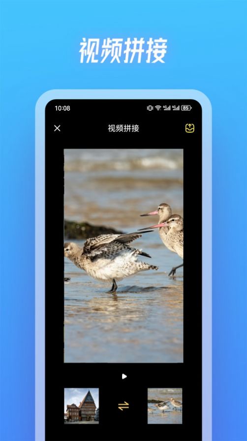 斑马视频app官方版追剧最新版截图2