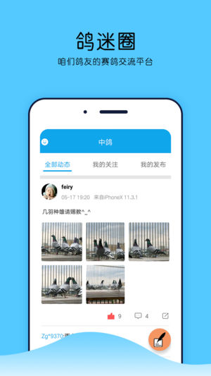 中鸽网截图1