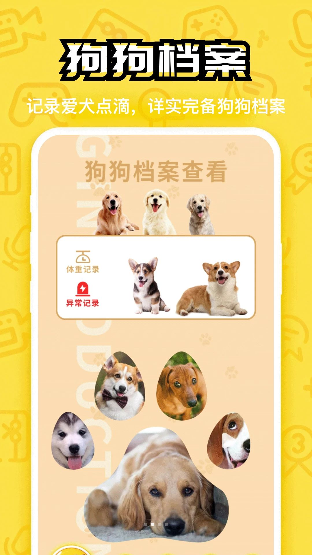 汪星成长记截图1